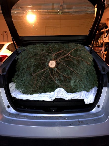 christmas prius